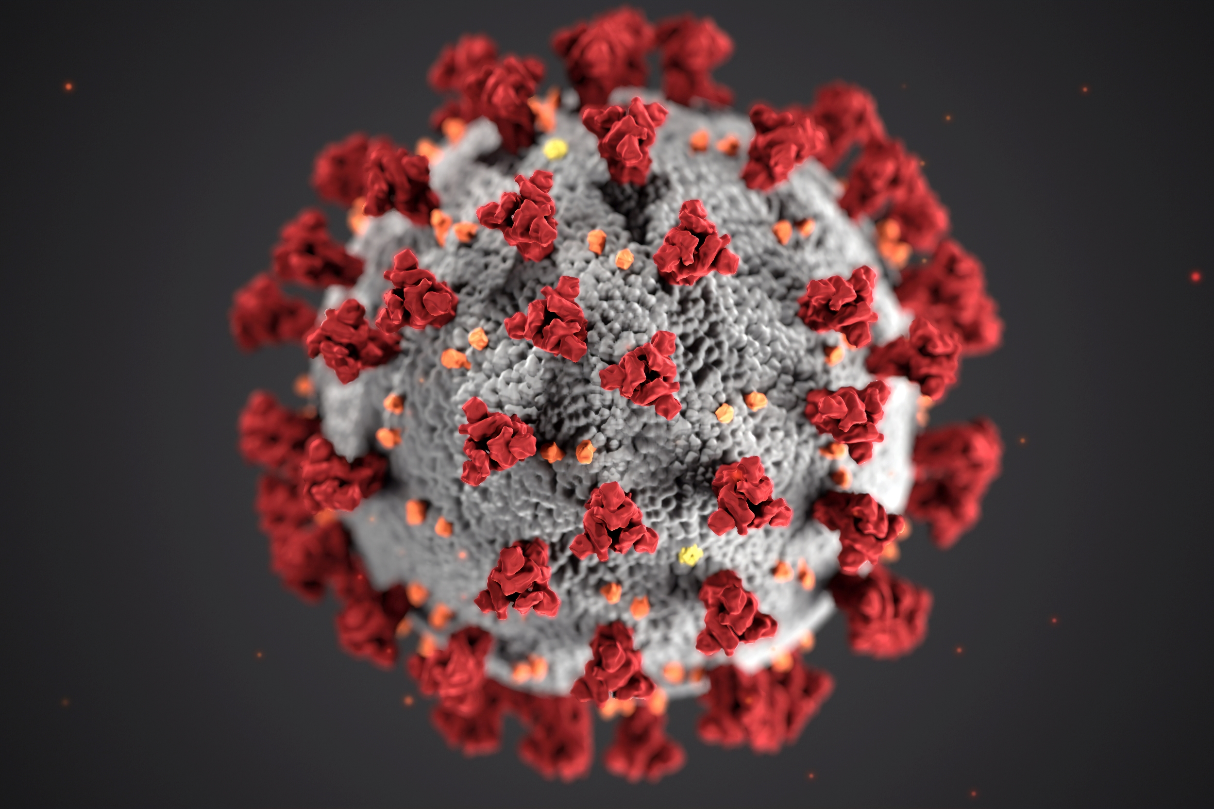 Darstellung des Corona-Virus
